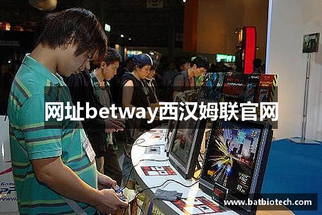 网址betway西汉姆联官网